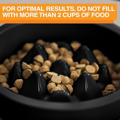 The Niner Slow Feed Bowl - Raised Peaks Slow Down Pets Eating - Fits Elevated Feeders Including Neater Feeder Large Sizes - Gentle on Teeth and Gums - Holds up to 2 Cups (Black) - color: Black