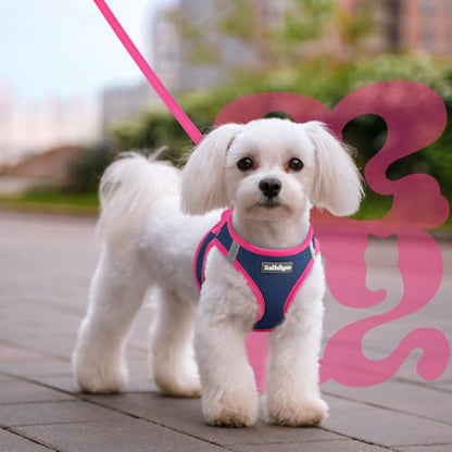 rabbitgoo Dog Harness Small Sized and Leash Set, Step-in Breathable Pet Harness, Soft Walking Reflective Puppy Vest for Small Dogs, Blue & Rose Red, XXS - color: Blue & Rose Red, size: XXS (Chest: 12.4 - 14.2")