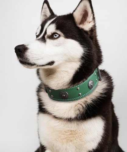Leather Dog Collar, 2 inches Wide Heavy Duty Genuine Leather Collars, Handmade, Soft, and Luxury, Eye-catching Best Choice for Large and Medium Breed Dogs, Green 21-25 in - color: Green, size: 21-25 in