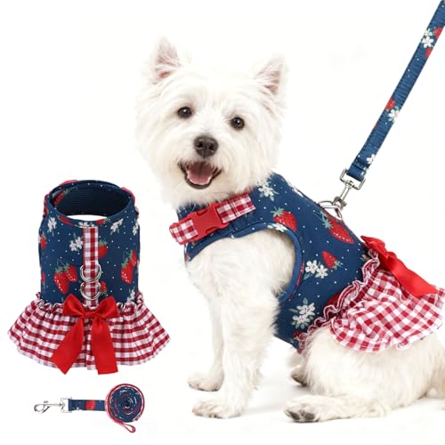 EXPAWLORER Dog Harness Small Medium Sized Dogs, Plaid Dog Dress Bowknot Harness and Leash Set, No Choke No Pull Soft Mesh Vest Cute Princess Puppy Outfits Clothes Costume for Girls Party Cats Navy S - color: Strawberry Navy, size: Small(Chest Girth 12" -