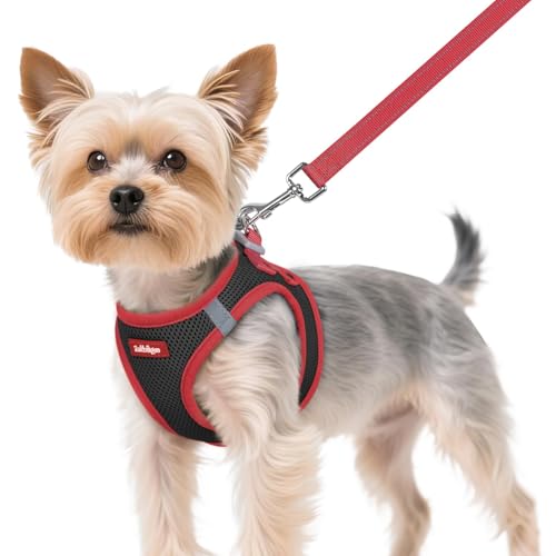 rabbitgoo Dog Harness Small Sized and Leash Set, Step-in Breathable Pet Harness, Soft Walking Reflective Puppy Vest for Small Dogs, Black & Red, XS - color: Black & Red, size: XS (Chest: 13.3 - 15.5")