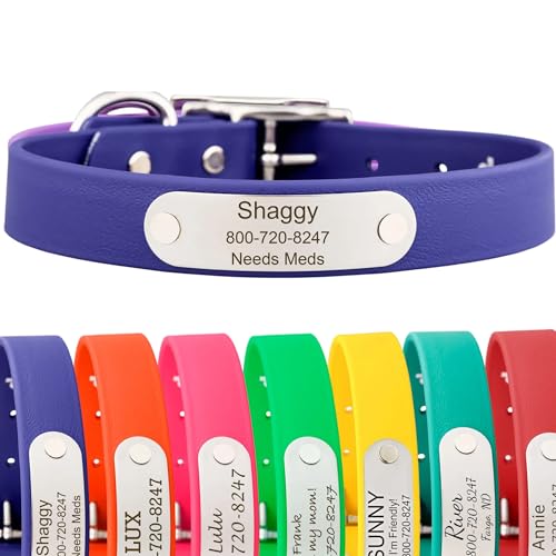 dogIDs Personalized Dog Collar – Custom Waterproof Soft-Grip Biothane with Laser-Engraved Nameplate, Durable & Odor-Resistant, USA Made | Blue, 1 in x 16 in (Fits Necks Size 14-18 in) - color: Blue, size: 1 in x 16 in (Fits Necks Size 14-18 in)