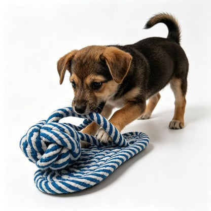 Dog Toys Puppy Teething Chew Toys,Dog Chew Toys Rope Toys,Cat Chew Toys,Safe Braided Rabbit Toys Healthy Gift (Slippers) - color: blue and white slippers