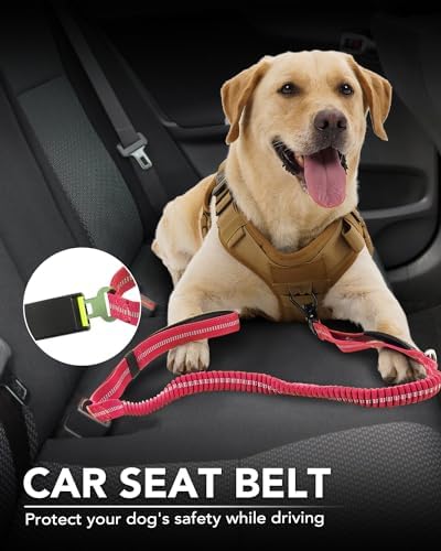 Joytale Tactical Dog Leash Heavy Duty, 4-6FT Shock Absorbing Bungee Lead with 2 Padded Handle, Metal Carabiner Clip, Car Seatbelt, Strong No Pull Leash for Medium Large X-Large Dogs, Hot Pink - color: Hot pink