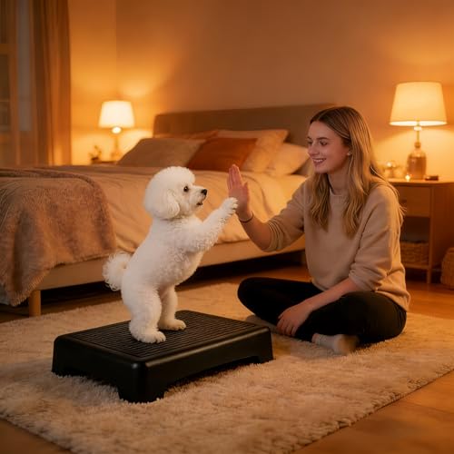 Dog Training Place Board with Whistle, Non-Slip Portable Dog Platform for Agility, Puppy Training Equipment for Small Medium Dogs 17.3"x13.4"x3.8" (Black)