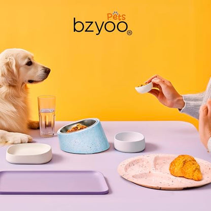 bzyoo 16oz Tilted Dog Bowl for Small Dogs & Cats, 15° Elevated Stainless Steel Pet Feeder, Ergonomic Anti-Vomiting Food Bowl for Frenchie, Pug, Persian Cat, Non-Skid Melamine Stand, Sprinkle (White) - color: White