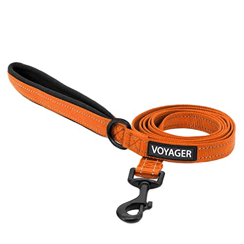 Best Pet Supplies Voyager Reflective Dog Leash or Collar with Neoprene Handle, for Small, Medium, and Large Breed Puppies, Cute and Heavy Duty for Walking, Running and Training - Orange (Leash), S - color: Leash (Orange), size: Small (5/8" x 5ft)