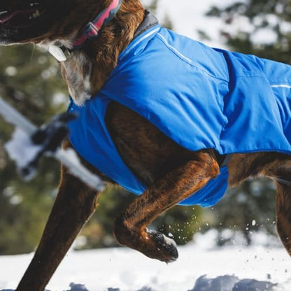 Ruffwear, Vert Dog Winter Jacket, Insulated Waterproof Dog Coat with Harness Leash Portal, Breathable Design with Leg Loops, Windproof Extended Coverage, Reflective Trim, Blue Pool, XX-Small - color: Blue Pool, size: XX-Small
