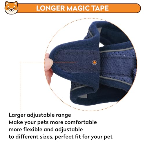 Dog Harness with Leash Set, No-Pull Step-in Reflective Pet Harness with 1 Leash Clips, Adjustable Soft Padded Easy Walk Dog Vest for Small Medium Large Dogs, Cats(Dark Blue, XXSmall) - color: Blue, size: XXS(Chest:11.5"-13"*Fit Cat)