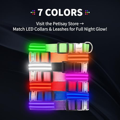 LED Dog Collar with Metal Buckle - USB Rechargeable Glow Collar for Dogs, Waterproof Light Up Dog Collar w/Reflective Strips - Adjustable Night Safety Collars by PetIsay(Blue,Large) - color: Blue(Fiber optic version), size: Large (18½ " - 23½ ")