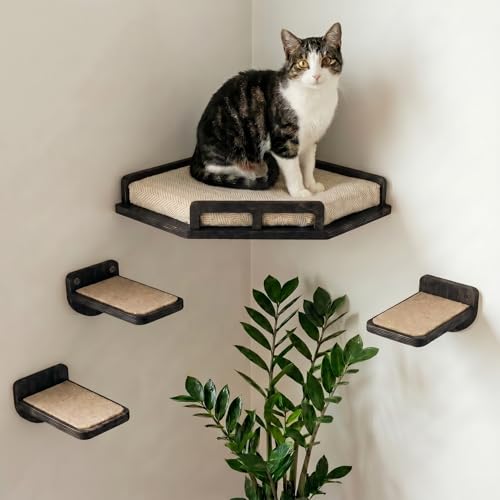 INICIO Cat Wall Shelves - Safe and Sturdy Cat Wall Furniture - Stylish Natural Wood Corner Shelf with 3 Steps for Cats up to 15lbs - Cushioned Perch and Stairs for Climbing and Playing - Black - color: Black