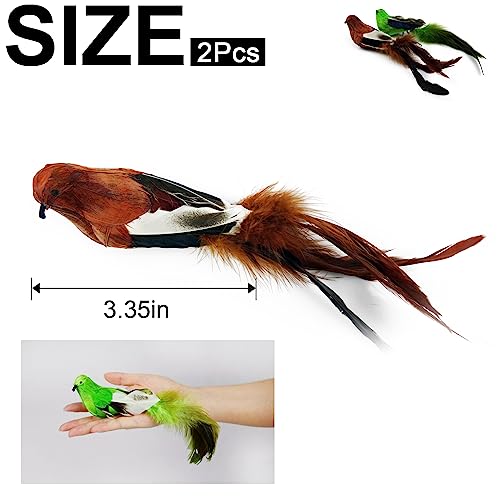 TTcat 2 Pcs Real Feather Cat Bird Toys Realistic Simulation Bird Cat Toys with Bells for Indoor Cats Kittens.