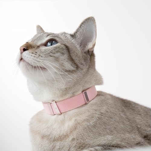 Safety Cat Collar - U.S. IDA Gold Award Design, Stretchy Elastic Quick Release Non Breakaway Cat Collar Light Weight for Kitten All Small Medium Large Cats (Burgundy, M (7.8-15.7 inch)) - color: Burgundy, size: M (7.8-15.7 inch)