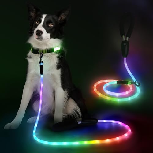 4FT Light up Dog Leash with 15 Flashing Modes - Super Bright LED Dog Leash for Small Medium Large Dogs - Type-c Rechargeable Dogs Leashes Light (Multi-Color, 4FT (120cm)) - size: 4FT (120cm)