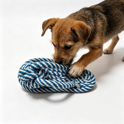 Dog Toys Puppy Teething Chew Toys,Dog Chew Toys Rope Toys,Cat Chew Toys,Safe Braided Rabbit Toys Healthy Gift (Slippers) - color: blue and white slippers