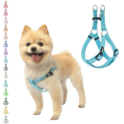 PUPTECK No Pull Dog Harness Soft Adjustable Basic Nylon Step in Puppy Vest Outdoor Walking with ID Tag, SkyBlue, XS - color: Light Blue, size: X-Small