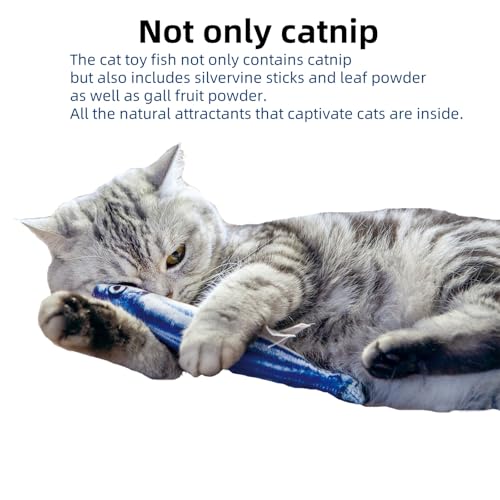 miwoowim 6 PCS Cat Fish Toy Soft and Durable,Cat nip Toy with Catnip Inside, Kicker Toys for Indoor Kitten Exercise,Kitty Teething Chew Toy (6 Sauries)