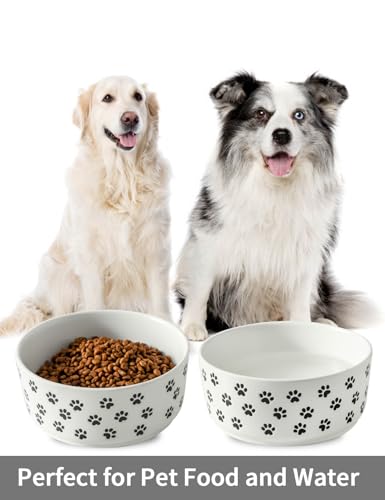 UBEE 6.5 inch Dog Bowls Set of 2, Ceramic Dog Food Water Bowl Dish with Paw Pattern, Pet Food Water Dishes Feeding for Small and Meidum Dogs and Large Cat, White - color: White-paw, size: 6.5 inch x 2