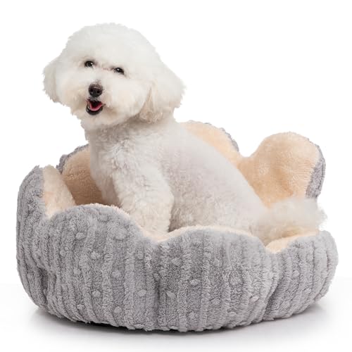 Hollypet Cozy Cat Beds for Indoor Cats - Cute Cactus Pet Bed, Fluffy Puppy Bed, Non-Slip Extra Small Dog Bed, Gray - color: Gray