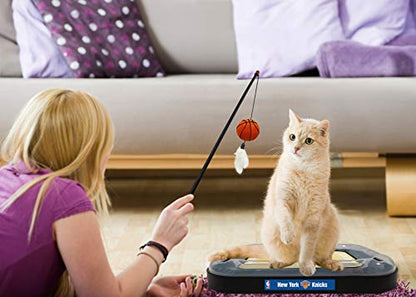NEW YORK Knicks Basketball Cat Scratcher Toy - color: New York Knicks