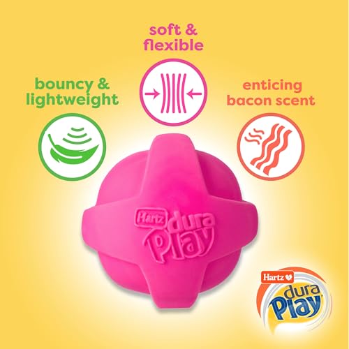 Hartz DuraPlay Ball Squeaky Latex Dog Toy, Neon Green, Neon Pink & Neon Orange, Large 3 Count Pack - size: 3 Count, style: Large Ball
