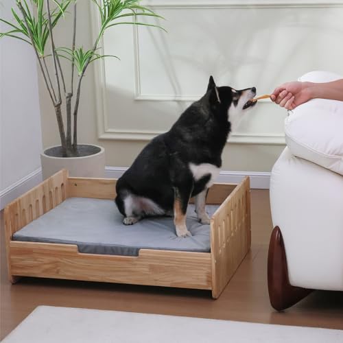 Elevated Dog Bed for Small to Medium Dogs – 32” x 21” Indoor Wooden Pet Sofa with Soft Cushion, Mid-Century Modern Style, Sturdy & Stylish (Natural) - color: Pine Wood