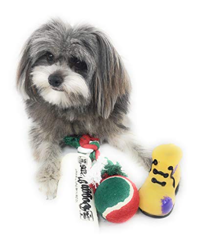 Christmas Dog Stocking Toys. Pack Assorted with Squeaker Inside of Newspaper Toy, Squeaky Boot, a red, Green & White Tennis Ball & red White & Green Knotted Rope Xmas Toy. Small Medium Large Breeds