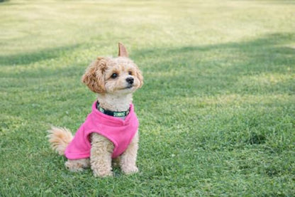 JACKO & CO - Fleece Vest Dog Sweater with Leash Ring - Soft, Warm & Lightweight Pullover Coat for Small & Medium Dogs, Puppies & Cats - Cozy Fall/Winter/Spring Pet Jacket (Pink, XS (2-4lbs)) - color: Pink, size: XS (2-4lbs)