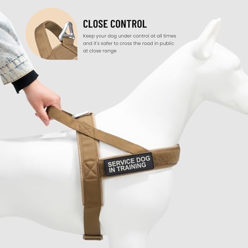 EXCELLENT ELITE SPANKER No Pull Dog Harness Padded Military Patrol Vest Adjustable Nylon Small Service Walking Dog Harness with Handle for Training Running(COB-S) - color: COB, size: S-(Chest 19.5-25.5")