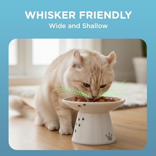Necoichi Elevated Cat Food Bowl, Ceramic (Porcelain), Whisker-Friendly, Dishwasher & Microwave Safe, Non-Slip Silicone Base, Anti-Vomiting & Neck Fatigue (Cats, Extra Wide, 2-Cups Capacity) - color: Cat, size: Large Extra Wide Flat (2 Cups)