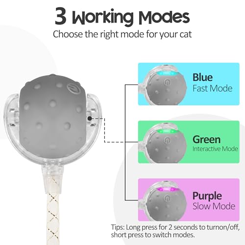 Interactive Cat Toys Ball for Indoor Cats, Automatic Moving Ball Toy with Elastic Mesh Tail, Chirping & Obstacle Avoidance and Motion Activated, Grey【Rechargeable】 - color: Grey