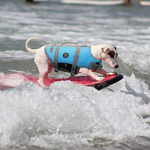 EMUST Dog Life Vests, Adjustable Pet Life Jacket with Rescue Handle, Dog Flotation Vest for Small/Medium/Large Dogs, XS, NewSolidblue - color: NewSolidblue, size: XS