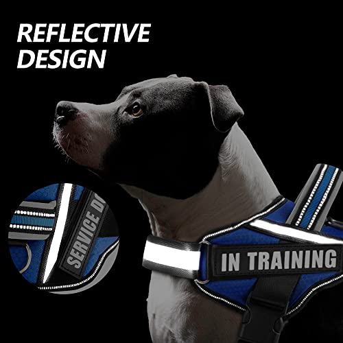 Dog Vest Harness and Patches Set, Animire in Training Service Dog Harness with 10 Dog Patches, Reflective Dog Vest with Handle for Small, Medium, Large, and Extra-Large Dogs - color: Blue, size: XX-SMALL (Chest:12-15 Inch)