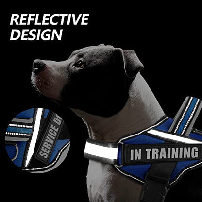 Dog Vest Harness and Patches Set, Animire in Training Service Dog Harness with 10 Dog Patches, Reflective Dog Vest with Handle for Small, Medium, Large, and Extra-Large Dogs - color: Blue, size: LARGE (Chest:26.5-36 Inch)