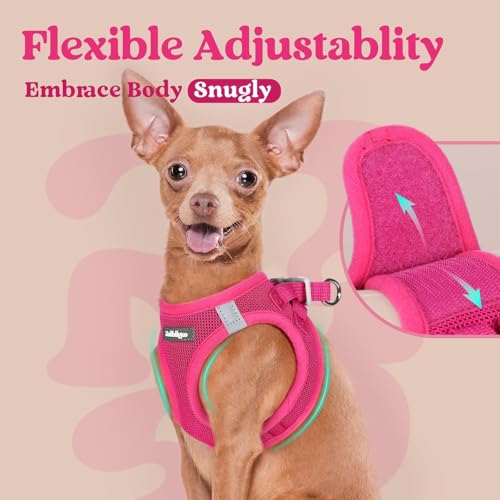 rabbitgoo Small Dog Harness, Step-in Soft Mesh Puppy Vest with Safety Buckle, Breathable Reflective Pet Harness for Extra Small Dogs, Rose Red XXS - color: Rose Red, size: Xxs(chest:12.4"-14.2")