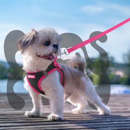 rabbitgoo Dog Harness Small Sized and Leash Set, Step-in Breathable Pet Harness, Soft Walking Reflective Puppy Vest for Small Dogs, Black & Rose Red, XXS - color: Black & Rose Red, size: XXS (Chest: 12.4 - 14.2")