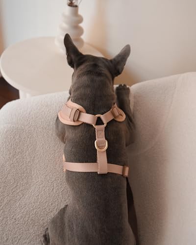 Premium No-Pull Dog Harness Soft Neoprene & Breathable Mesh Vest with Front & Back Clip D-Rings Adjustable Lightweight Walking Harness for Puppies, Small & Medium Dogs (Beige, XXS) - color: Beige, size: XXS: Neck=9.1-13'', Chest=10.6-14.6''
