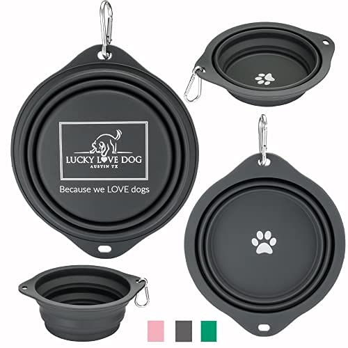 Lucky Love Dog, Collapsible Dog Bowl Compact Travel Water Dog Dish, Steel - color: Steel