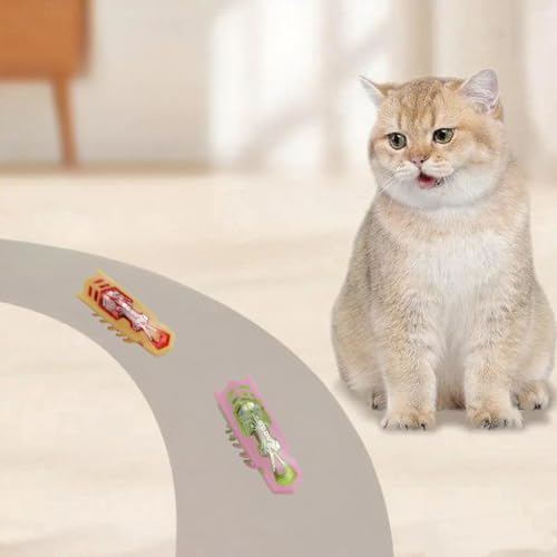 Interactive Cat Toy, 2 Pack Colorful Electric Vibrating Beetle, Self-Righting Automatic Crawl Toy, Bite Resistant Safe Pet Toy, Works On Carpet, Multi Cat Indoor Hunting Exercise Toy - color: Orange+pink