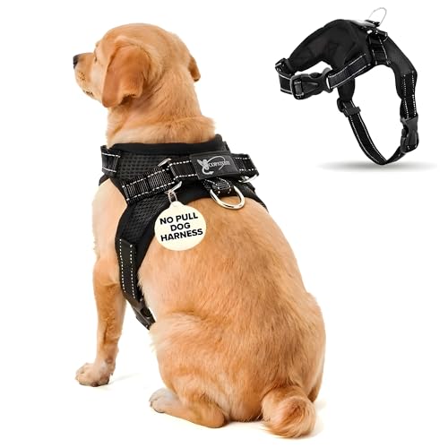 No Pull Reflective Adjustable Dog Harness with Handle- Comfortable Soft All Weather Mesh, Easy On Puppy Harness for Small Medium and Large Dogs (Black) Small - color: Black, size: Small