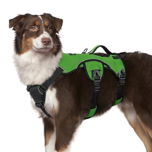 rabbitgoo Escape Proof Dog Harness, Soft Padded Full Body Pet Harness, Reflective Adjustable No Pull Vest with Lift Handle and Lesh Clip for Large Dogs Walking Hiking Training, M, Green - color: Green, size: Medium (Pack of 1)