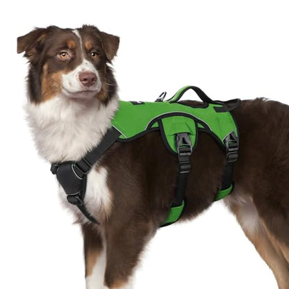 rabbitgoo Escape Proof Dog Harness, Soft Padded Full Body Pet Harness, Reflective Adjustable No Pull Vest with Lift Handle and Lesh Clip for Large Dogs Walking Hiking Training, M, Green - color: Green, size: Medium (Pack of 1)