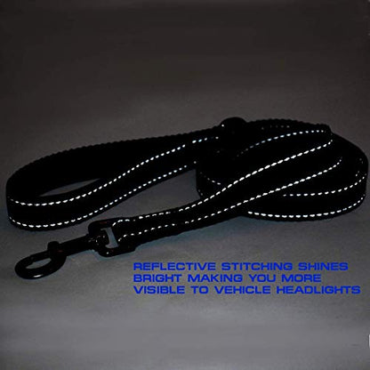 Max and Neo Reflective Nylon Dog Leash - We Donate One for Every Sold (Purple, 6ft) - color: PURPLE, size: 6 FT x 1" Wide