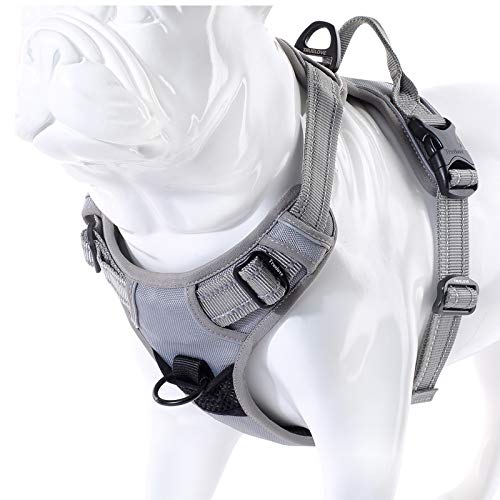 JUXZH Truelove No Pull Dog Harness with Easy Control Handle and 2 Leash Attachments,Reflective Adjustable Pet Vest - color: Gray, size: X-small (Pack of 1)
