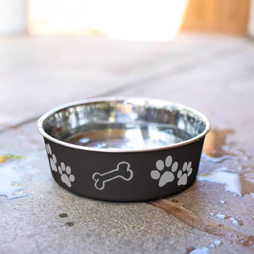 Loving Pets Bella Dog Bowls- Stainless Steel Dog & Cat Bowls - Spill Proof Dog Food Bowl, Cat Bowl, Puppy Essentials & Pet Supplies Great for Home & Travel (Small 10-20 lbs, Espresso) - color: Espresso, size: Small (10-20lbs)