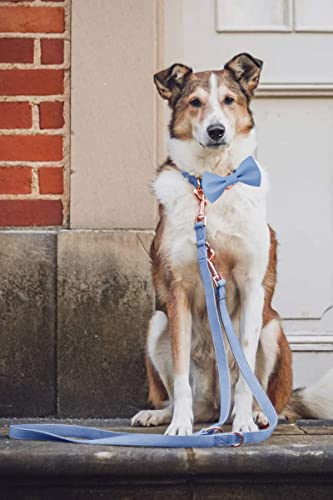 Soft Leather Bowtie Dog Collar - Adjustable Cute Bow Tie Collar [Easy to Clean] with Stylish Rose Gold Heavy Duty Metal Buckle for Small Medium Large Dogs Blue XS - color: Blue, size: XS(8"-12")