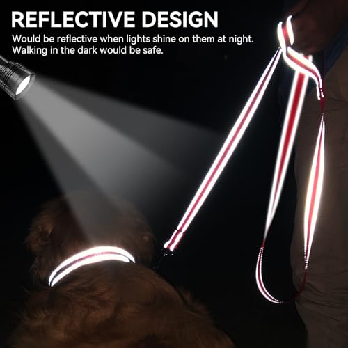 Joytale Dog Leash, 4 FT Double-Sided Reflective, Padded Handle Nylon Heavy Duty Leashes for Small Dogs Walking, Red - color: Red, size: 4 ft Narrow