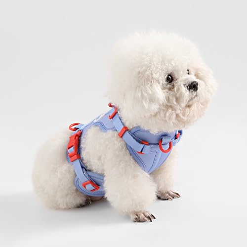 HNS1000E Arlo Extra Small Adjustable Soft Padded No Pull Pet Harness with 3 Buckles and 3 Leash Clips, Sangria - color: Periwinkle, size: X-Small (Chest: 11.8 - 17")