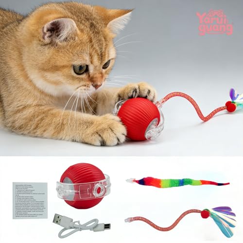 Speedy Tail 2.0 Cat Toy – 2 Replaceable Tails, Controllable Chirping, Motion Activated Rolling Ball, USB Rechargeable – Enrichment & Exercise for Bored Indoor Cats, Kittens (Red) - color: A-Red