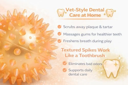 Squeaky Spiky Dog Ball for Teeth Cleaning & Gum Massage 3.5 Inch Medium Large Dogs Orange | Spiny TPR Rubber Chew Toy for Fetch Play Interactive Bouncy Dental Ball Durable BPA Free Nontoxic Floats - size: Orange, Ball - 1 Pack